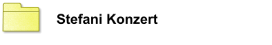 Stefani Konzert
